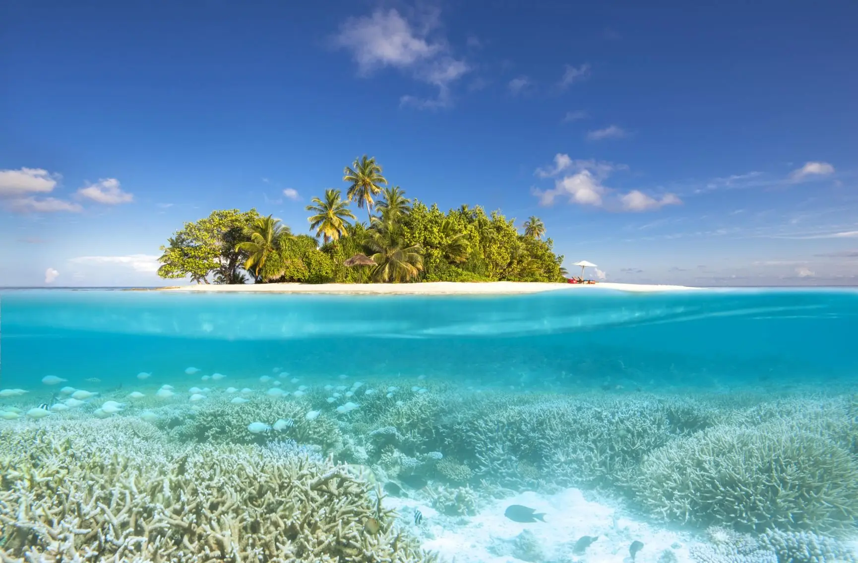 Gaathafushi - Ws Private Island 4