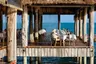 song-saa-private-island-vista-over-water-restaurant-interior-seating-deck-family-photos-2017