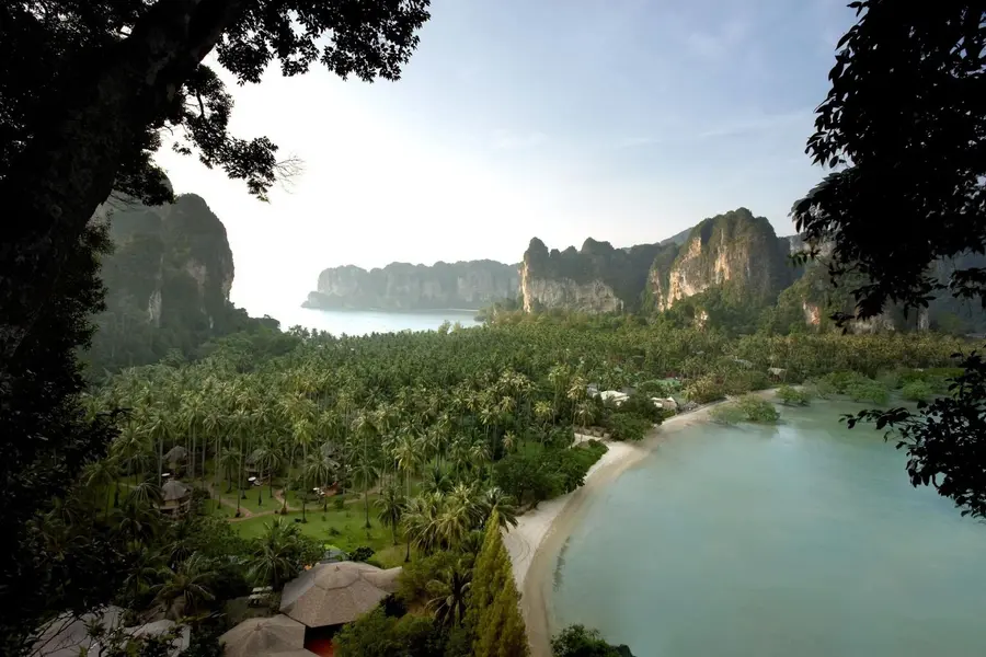 Bird Eye Views