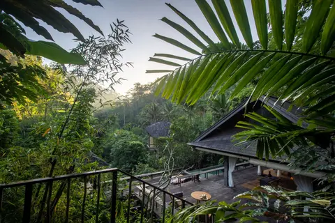 Rainforest Pool Bale