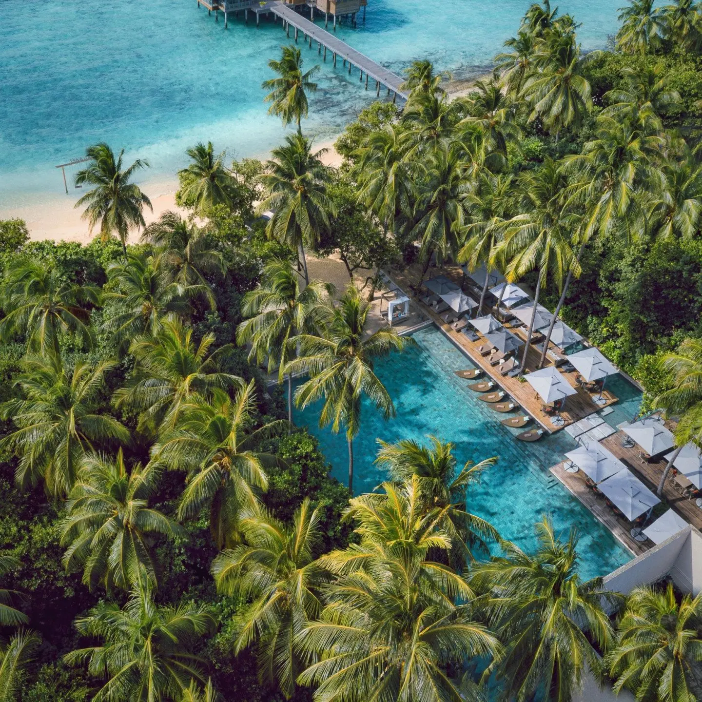 Palm fringed main pool at Vakkaru Maldives