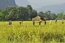 unsplash