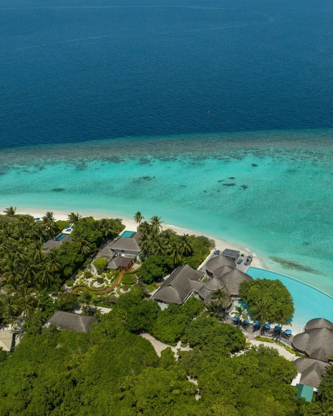 dusit-thani-maldives-exterior-pool-and-ocean