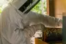 Raffles-Seychelles-A5E5-thedronebook-beekeeper