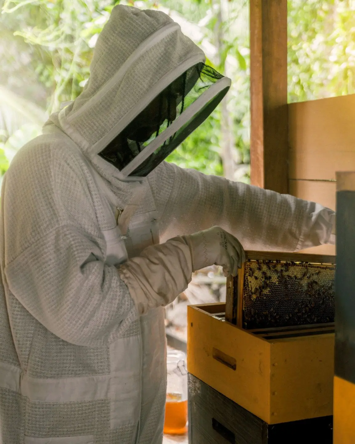 Raffles-Seychelles-A5E5-thedronebook-beekeeper
