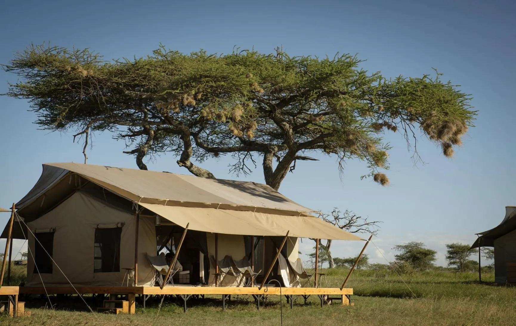 Lounge Tent_1