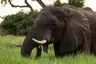 2018-12_duba_plains_camp_aw-7