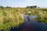 greatplains-botswana-dubaexplorerscamp-52