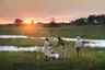great-plains-duba-expedition-17