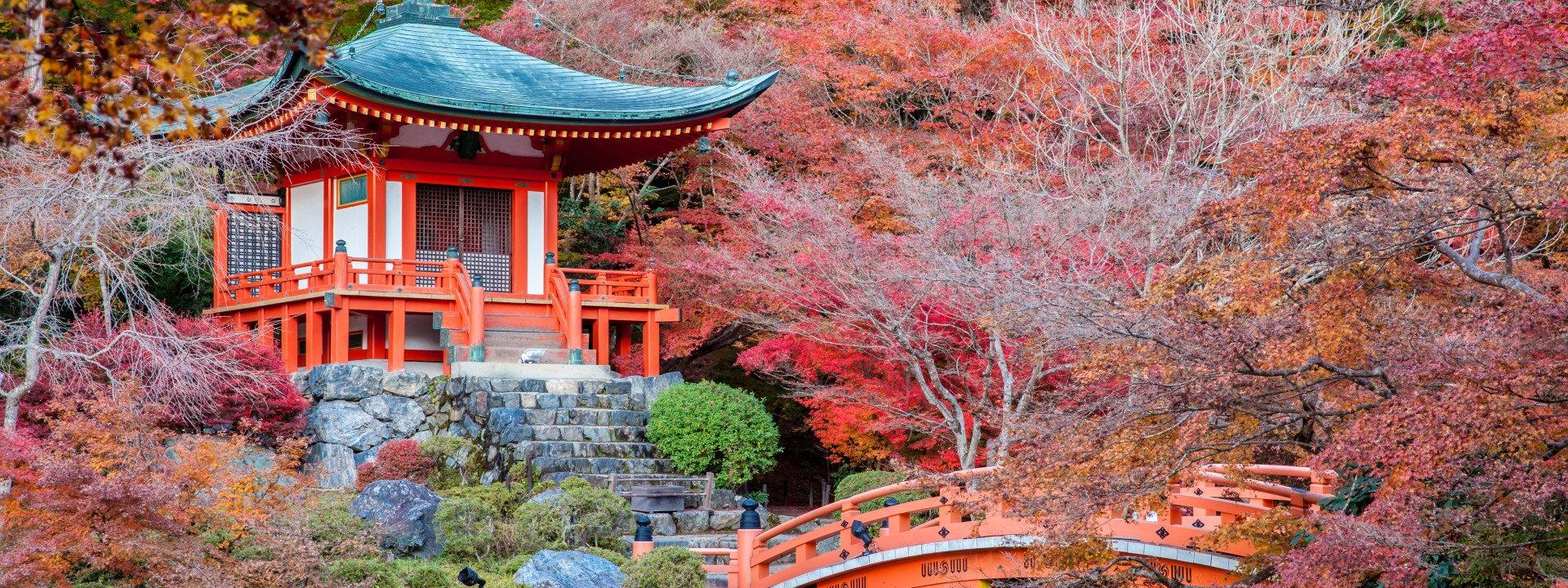 Pagoda and bridge_Exo_21.7.23
