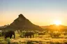 desert_elephants_1