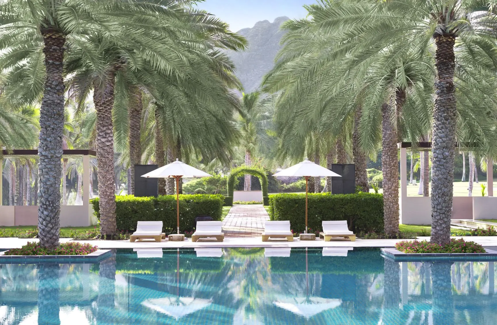 Landscaping & Pool