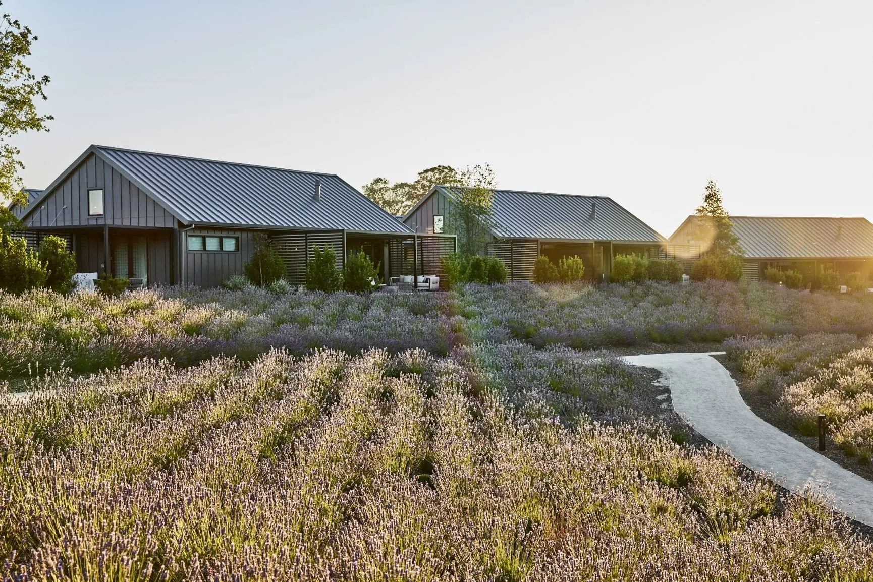 STN_Exteriors_Scenics_2023_0A5A6416