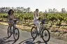 STN_Activities_Bike-Riding_0A5A4524