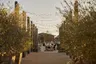 STN_Event-Space_The-Grange_Dinner_Lifestyle_2022_0003