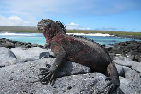 Entdeckungsreise Ecuador & Galapagos