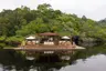 200825_Anavilhanas_Drone_2050