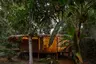 200823_Anavilhanas_167