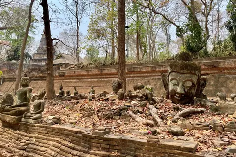 Chiang Mai_Alex