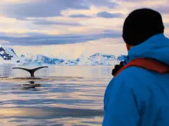 14105,1,nat-walbeobachtung