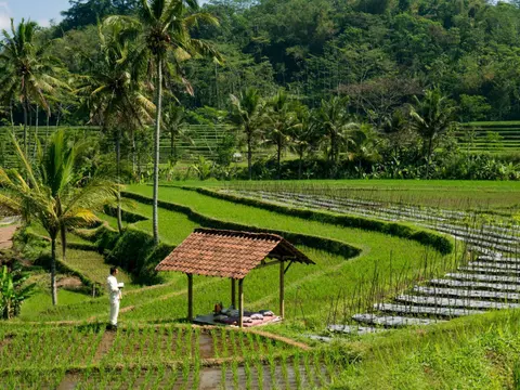 Amanjiwo, Indonesia - Picnic in the Rice Fields_14879