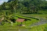 Amanjiwo, Indonesia - Picnic in the Rice Fields_14879