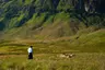 Plataran Bromo20