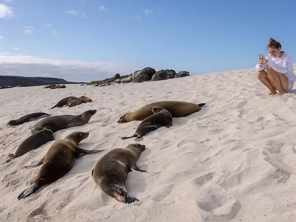 Aqua Mare__Excursion_W7_02