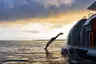 Aqua Mare_Swimming_01