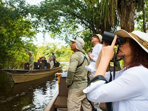 Amazon - Birdwatching - 01