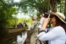 Amazon - Birdwatching - 01