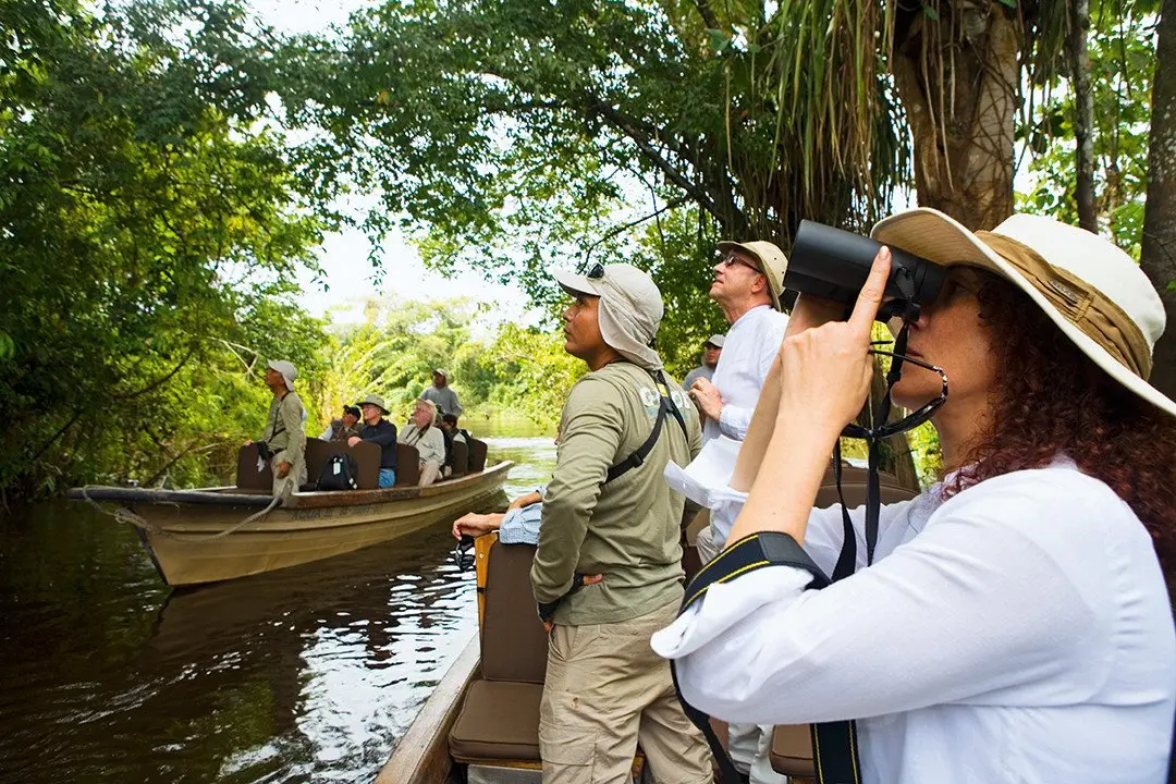 Amazon - Birdwatching - 01