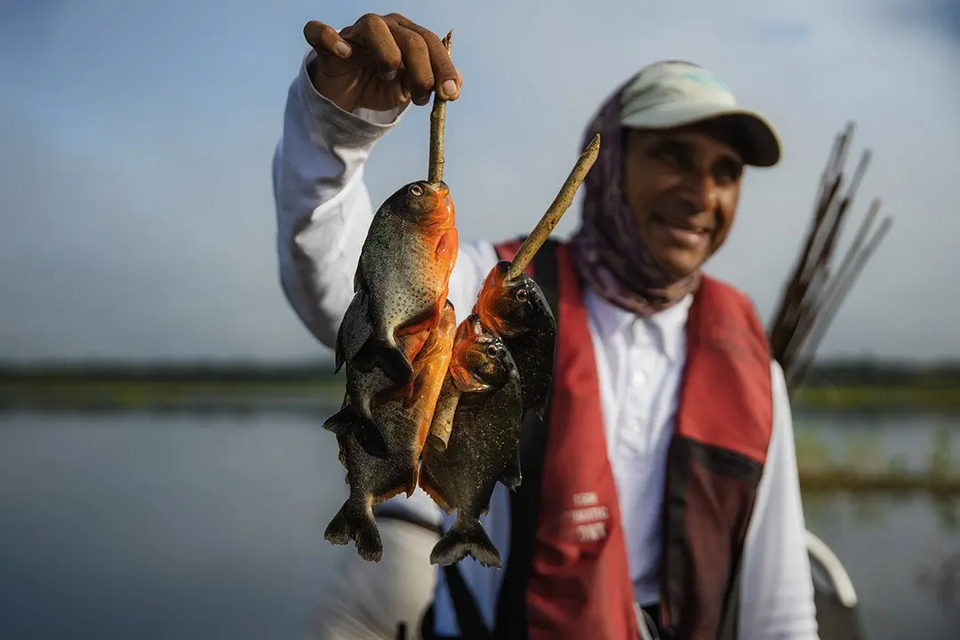 Amazon - Fishing - 06
