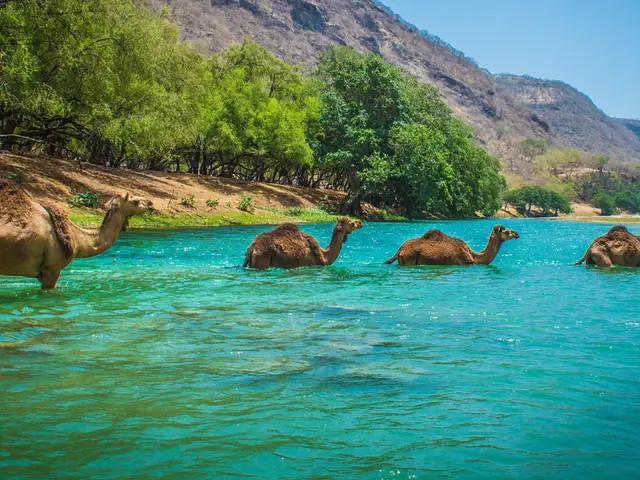 Historical Dhofar (East Salalah Tour) (5)