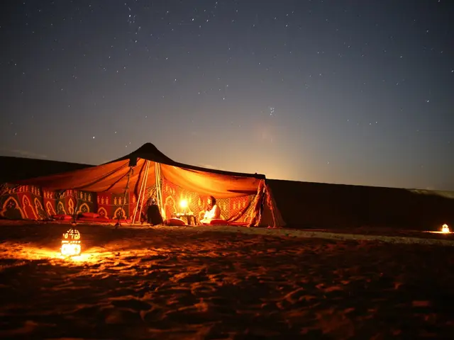 night in the arabian desert (3)