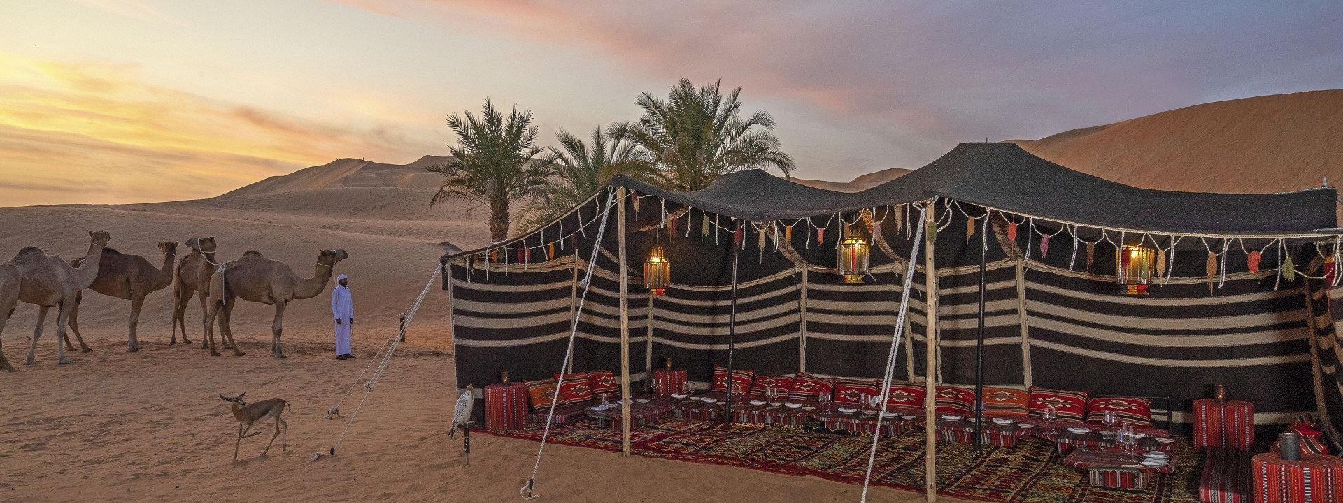 Qasr_Al_Sarab_Desert_Resort_by_Anantara_Property_Amenity_Events_Majilis_Tent_Camels_Sunset