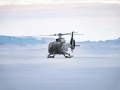 Snow Hill Island_Weddell Sea_SE1_101 Benn Berkeley-001