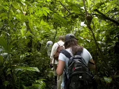 Amazon - Jungle Trekking - 02