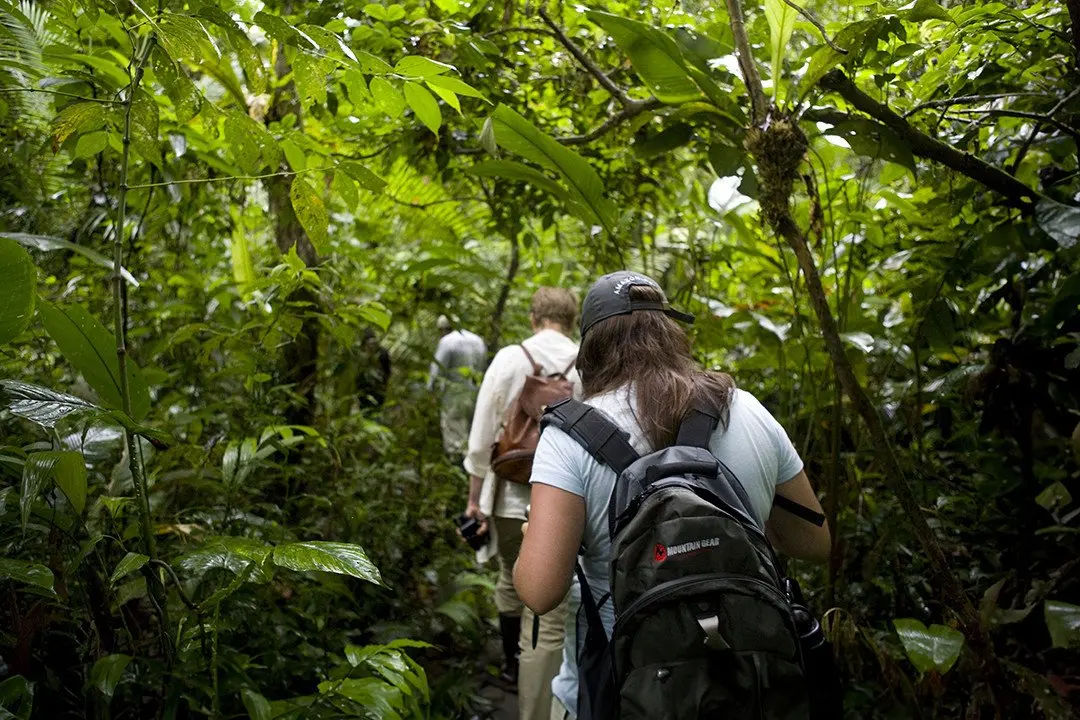 Amazon - Jungle Trekking - 02