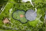DJI_0349