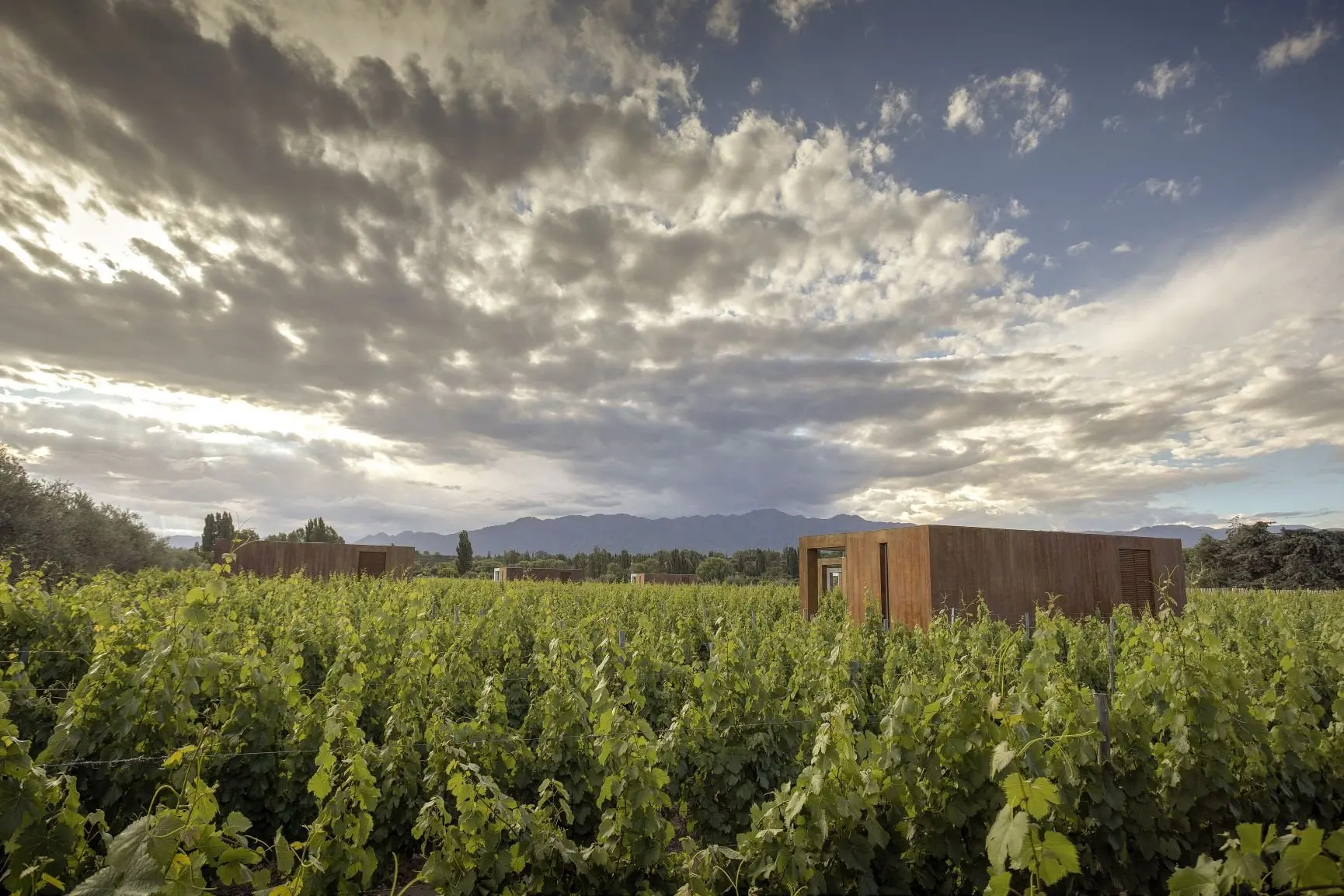 Vineyard Lofts Views 2022