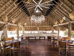 2023_IP_ Rocas_ Selva Studio0242