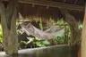 2023_IP_ Rocas_ Selva Studio0221