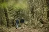 MM_21_Truffle Hunting on the Estate