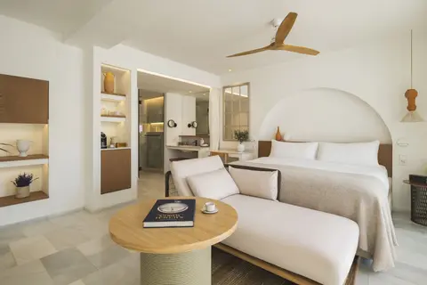 Premium Room with Terrace