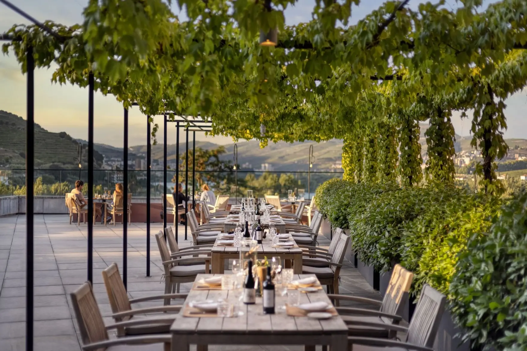 Wine Library Restaurant Terrace