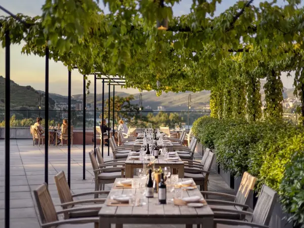 Wine Library Restaurant Terrace