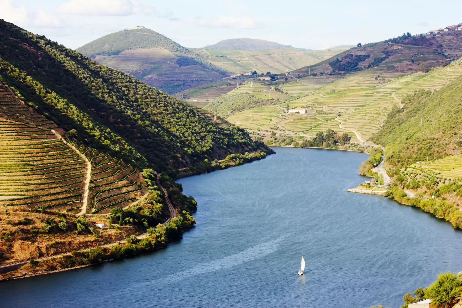 Sailing through Douro River