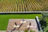 Douro-Valley-Portugal-Vineyard_Yoga