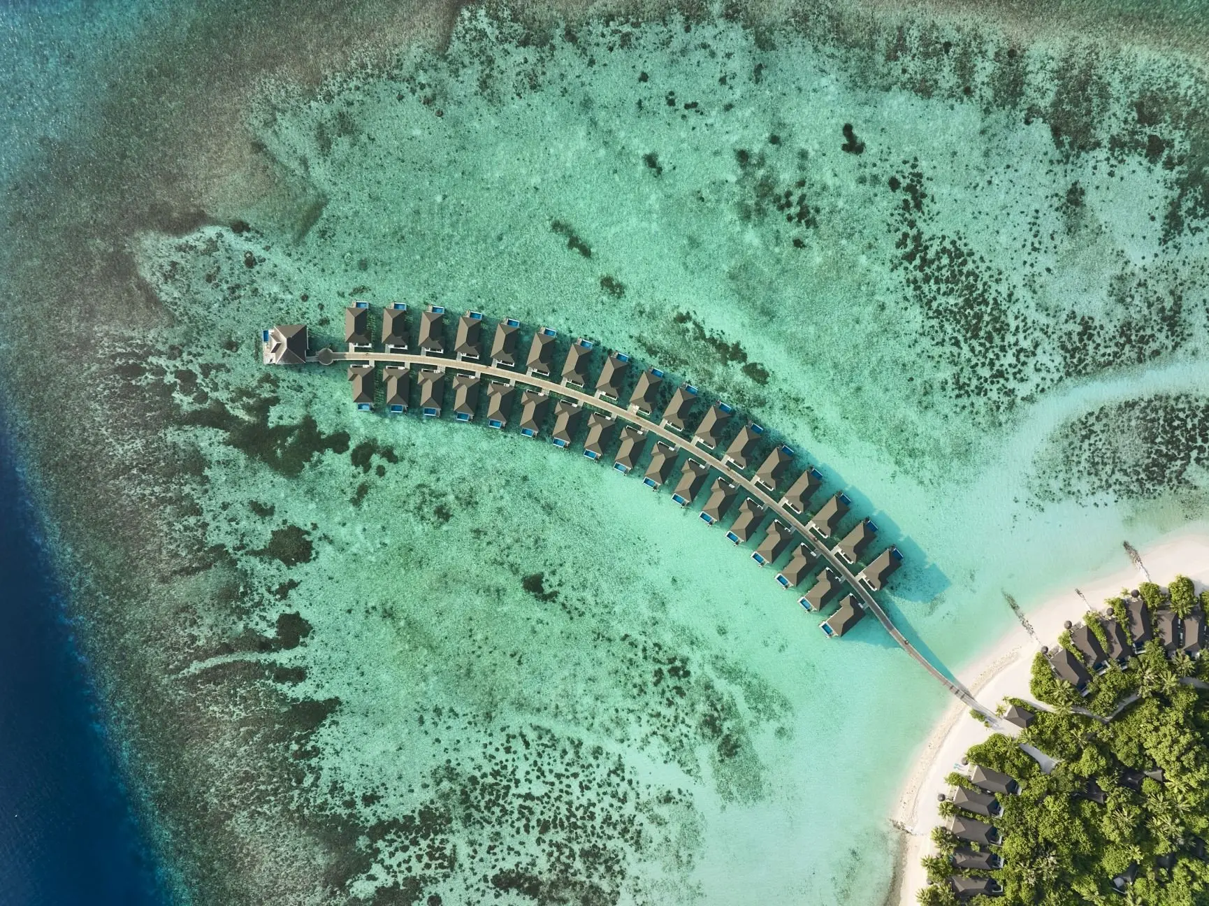 RCMN_DRONE_15937_WOL